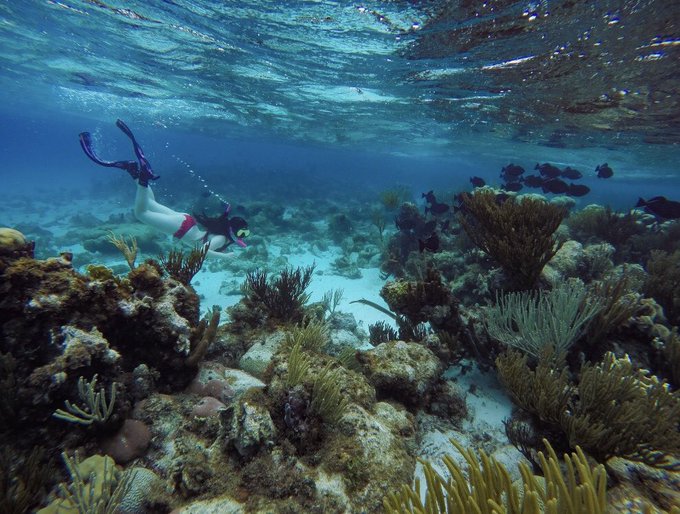 Happy earth day my fellow tree huggers. Here are some of my adventures on this beautiful planet 🌎💚💚 https://t