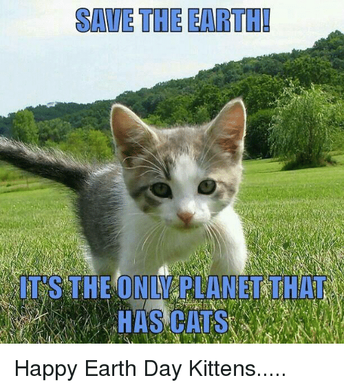 Happy Earth Day Friends! 
Do something kind for our planet and all those who live on it.