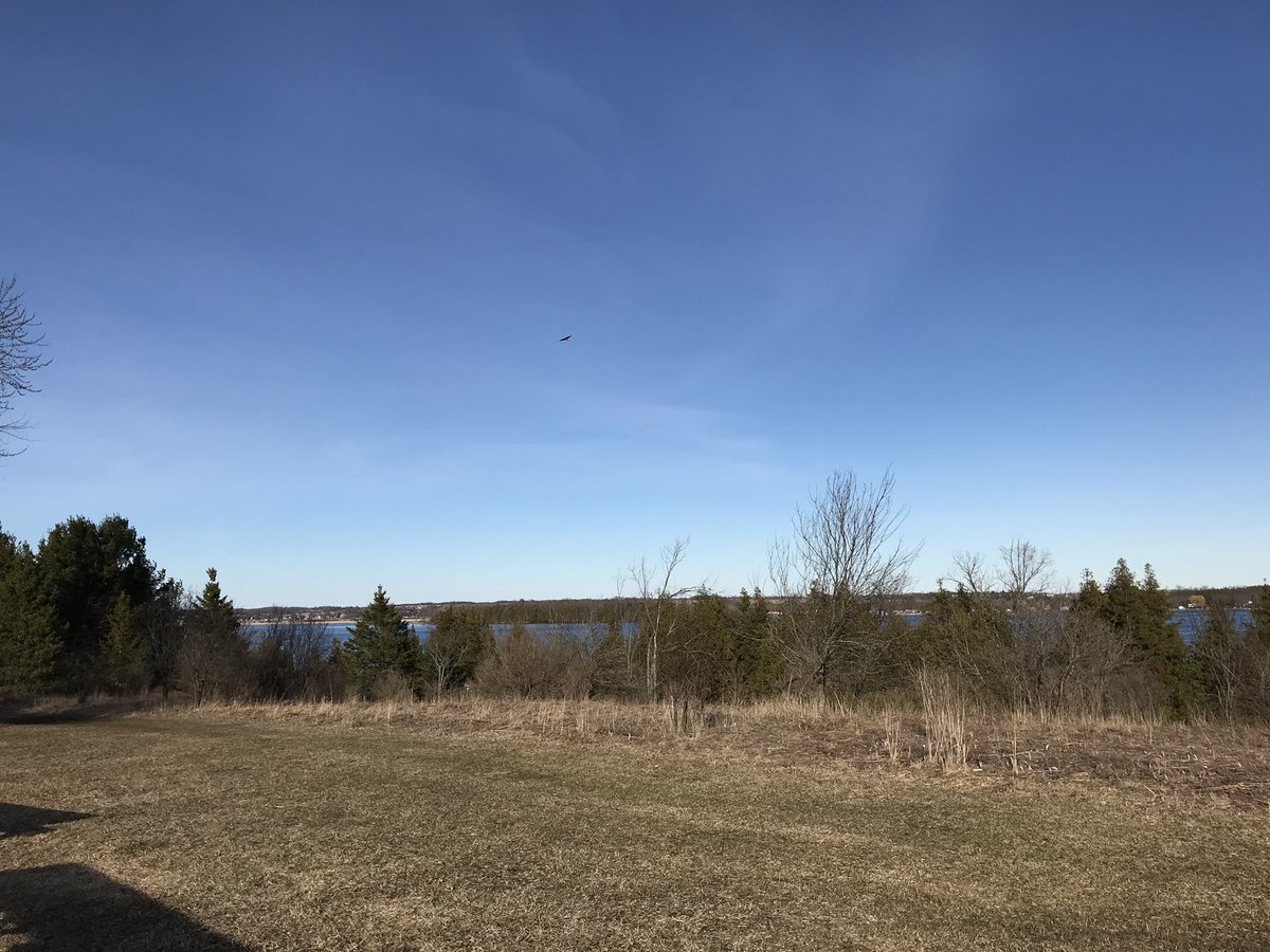 Jacob_thesnake's tweet photo. The current Ontario Government is making changes to the Endangered Species Act, which will make vulnerable wildlife even less protected from development and pollution in Ontario. 
provide your comments and concerns at
https://t.co/cLZeaect6F
#Earthday #Speciesatrisk #ONpoli https://t.co/FNbH0sLvJN