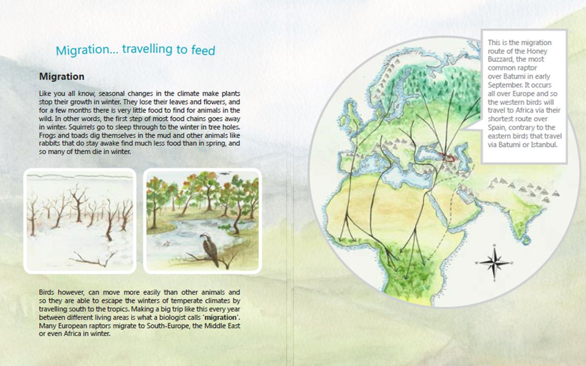 In a similar vein, the  @BatumiRaptors project has focused its  #conservation efforts on developing ecotourism and training of young Georgians in conservation. Now we have the support of local govt. and communities. And thats key to work towards more responsible hunting attitudes.