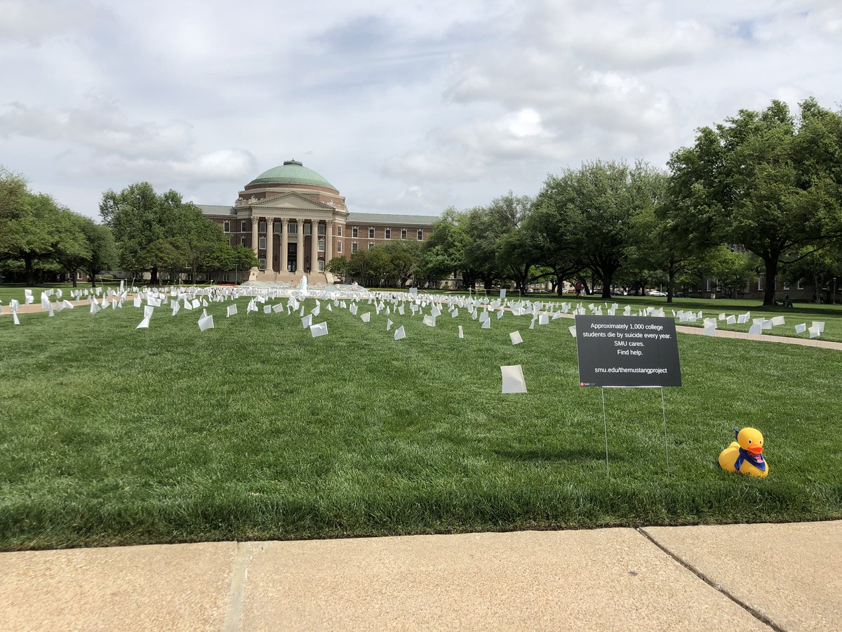 SMU Student Conduct tweet media