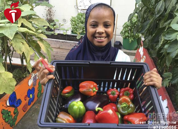 AHANewYorkCity's tweet photo. BREAKING NEWS: We're pleased to announce the opening of our 2019-2020 Community Impact Grant application cycle! This year we're giving $50k to orgs improving access to healthy food in NYC! Learn more now and apply by May 31, 2019: https://t.co/bA0MDK5PRF #lifeiswhynyc https://t.co/cIGEKCqQTU