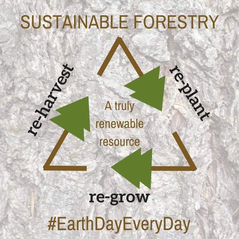 KSWildFacts's tweet image. #EarthDay for thinkers.