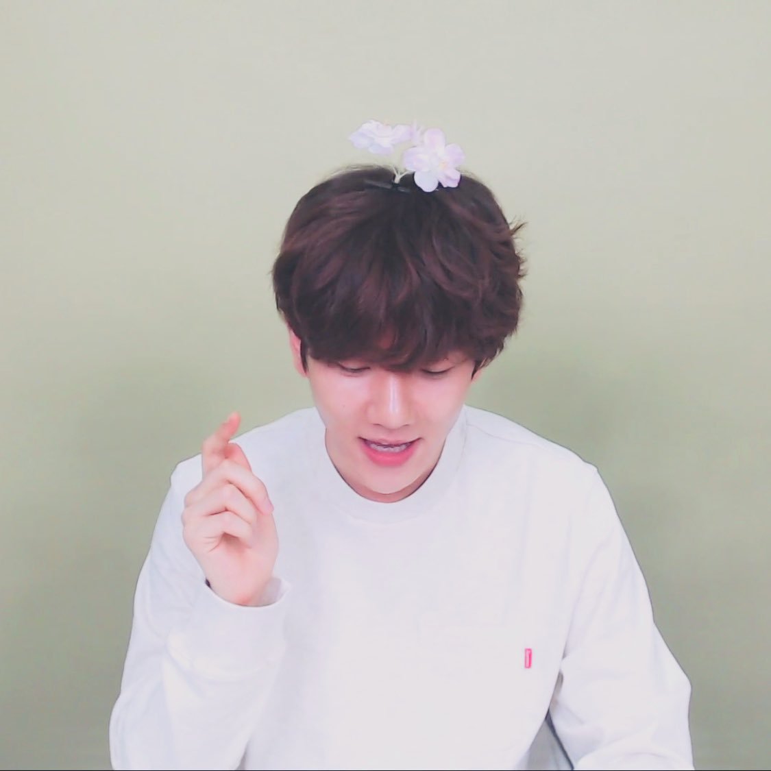 NyamYee's tweet photo. 🌸🌸 https://t.co/aviSx0gm9q