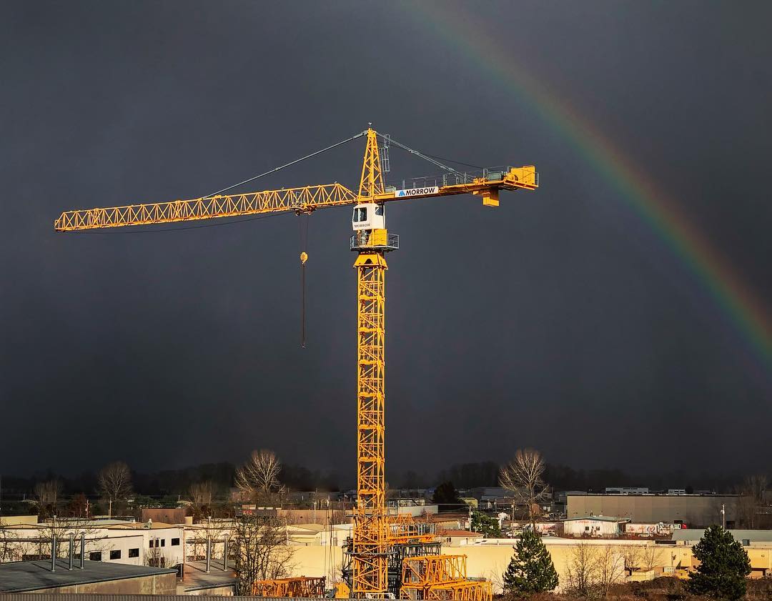 awrf's tweet photo. Find light in even the darkest moments!
Happy Monday! #Crane #cranepic https://t.co/L8vqFPEXZn