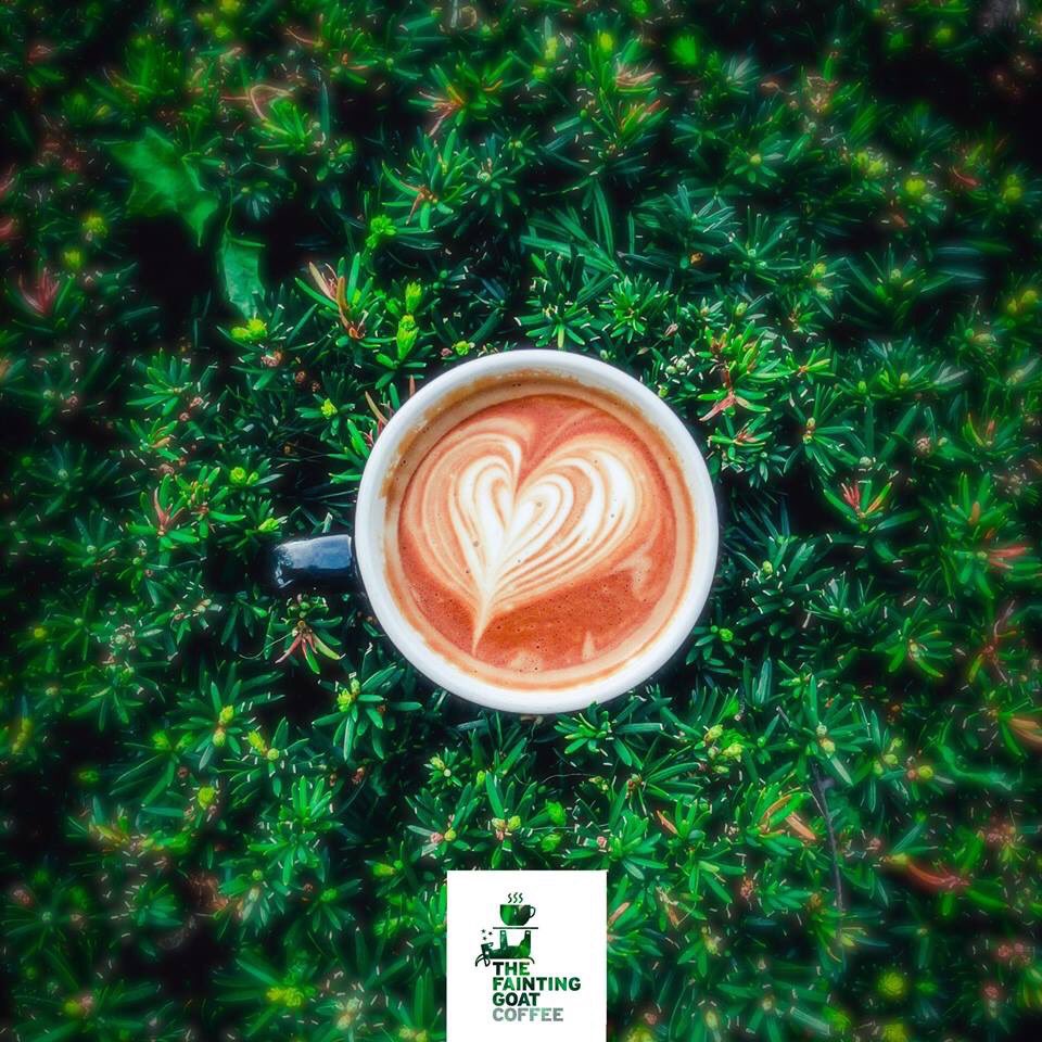 FaintingGoatTN's tweet photo. Happy Easter!
We’re open today regular hours
7am-8pm https://t.co/XONT0cmJny