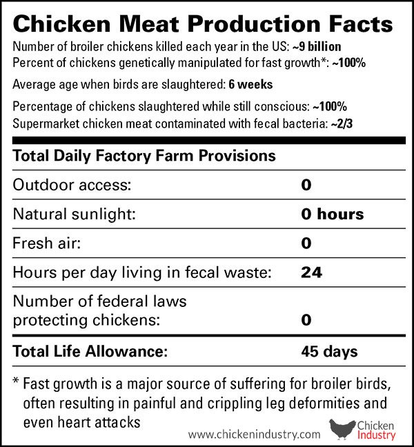 animaloutlook's tweet photo. Another @TysonFoods recall—this time: metal pieces. But here's the most terrifying ingredient behind chicken meat: cruelty. It's time for Tyson to address this suffering &amp; end crippling rapid growth! Learn more: https://t.co/0CbKYQzoj1 https://t.co/mannh5ydaP