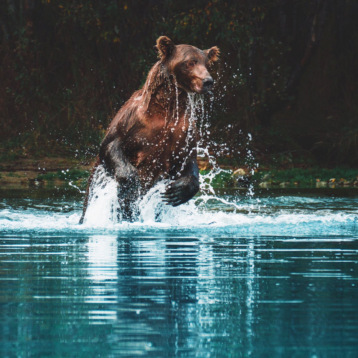 Kyle Kuiper tweet media