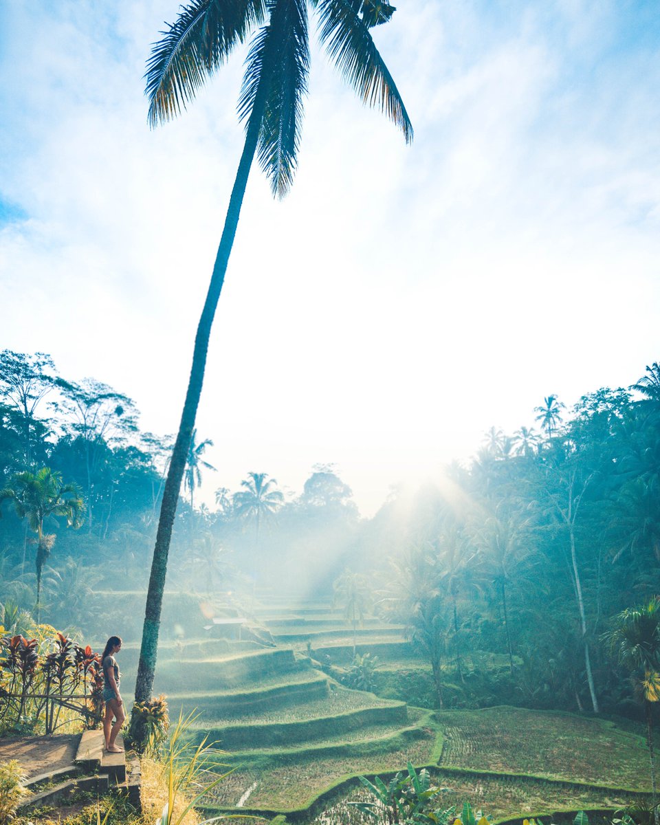 preferredhotels's tweet photo. To celebrate #EarthDay we partnered with @WinetoWater to promote the importance of clean water. For every Advance Purchase booking made today until April 29 we will donate $25 to this inspiring organization. Learn more: https://t.co/dk8TfM7Ir9 #PreferredGivesBack https://t.co/oIcPRw7DD3