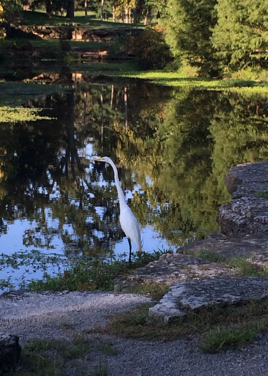 Greater Saint Louis Chapter CSI tweet media