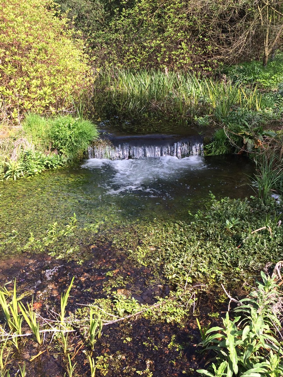 Debbie_27_'s tweet photo. Lovely relaxing afternoon. Excellent tea & homemade cakes too! π§ π° π #eastermonday #beautifulgardens #gooderstone https://t.co/QAovFda9AB