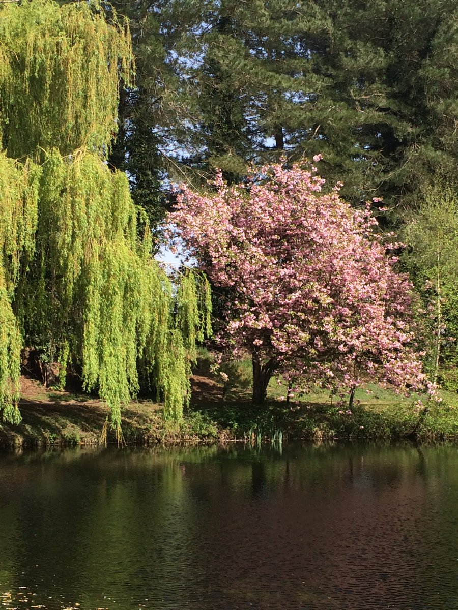 Debbie_27_'s tweet photo. Lovely relaxing afternoon. Excellent tea & homemade cakes too! π§ π° π #eastermonday #beautifulgardens #gooderstone https://t.co/QAovFda9AB