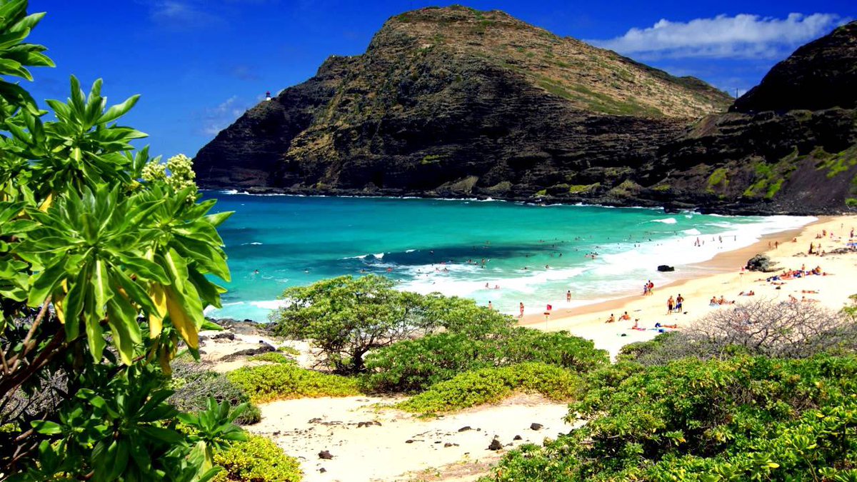 LocalKineApps's tweet photo. #Hawaiian word of da day: mālama. Definition: To take care of, tend, care for, preserve, protect. #EarthDay #malama #malamaaina #preserve #protect #aina #hawaii #localkinewordgame https://t.co/VFooYfYKcX