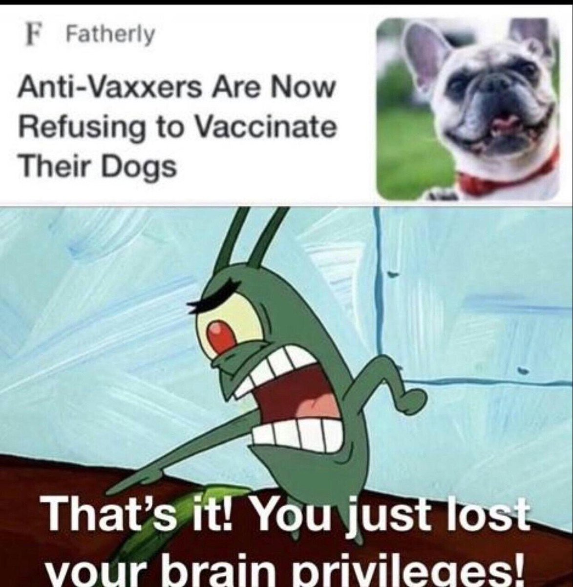 PTSDGuts's tweet photo. https://t.co/7JjZp0jv94