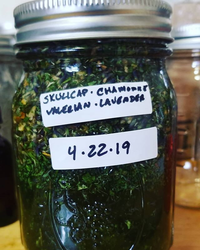 Bottling tinctures today! #tintures #workshops #chamomile #valerian #skullcap #sleep #growyourown #urbansteadworkshops bit.ly/2ZpakFI