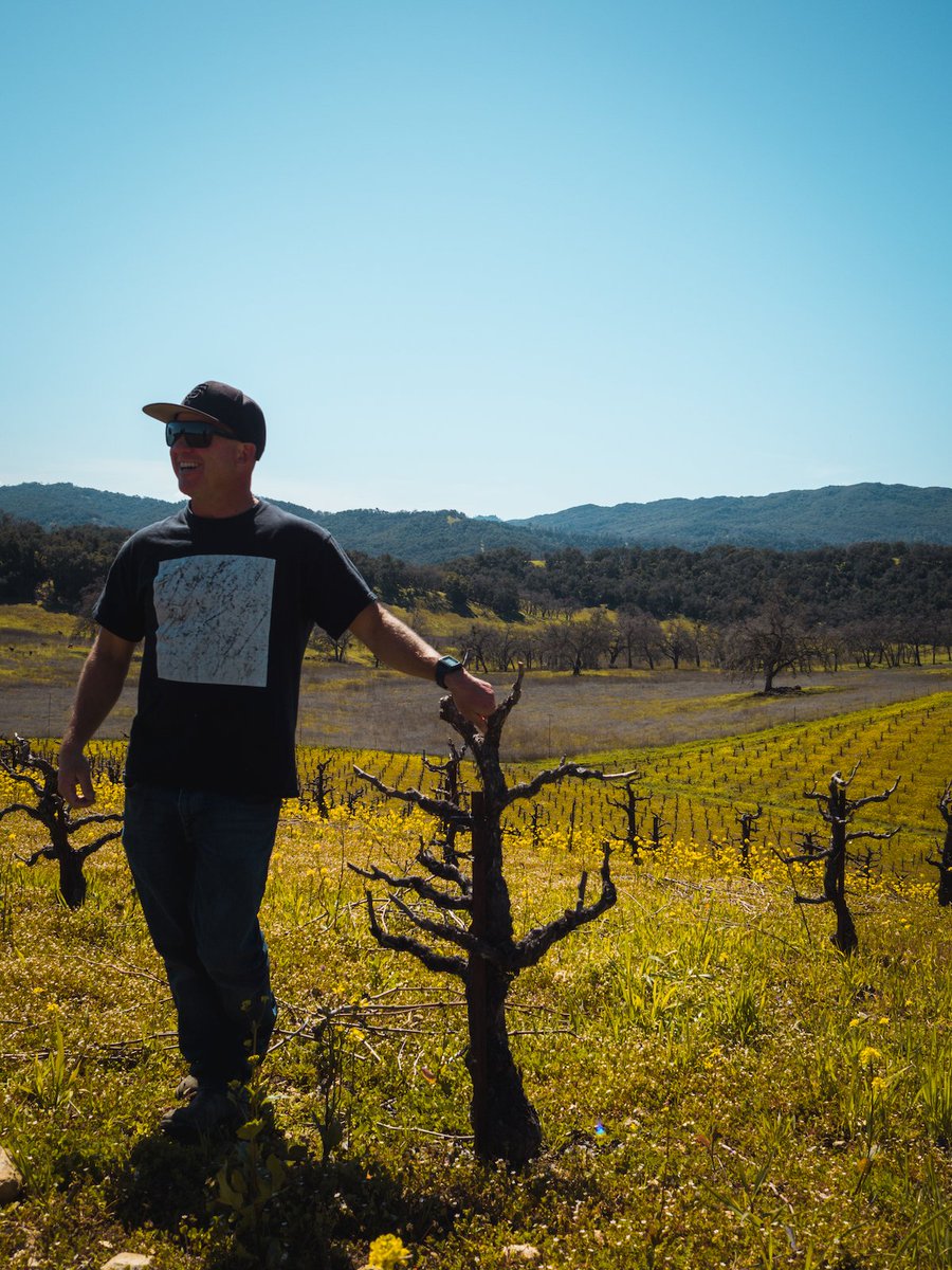 Chronic Cellars tweet media