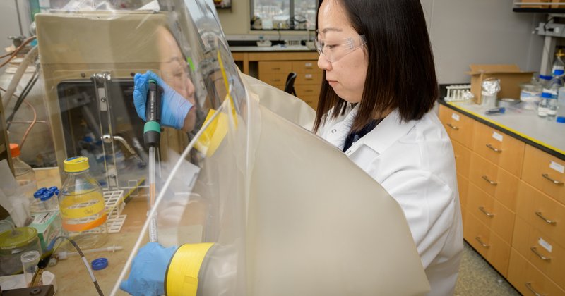 UDResearch photo