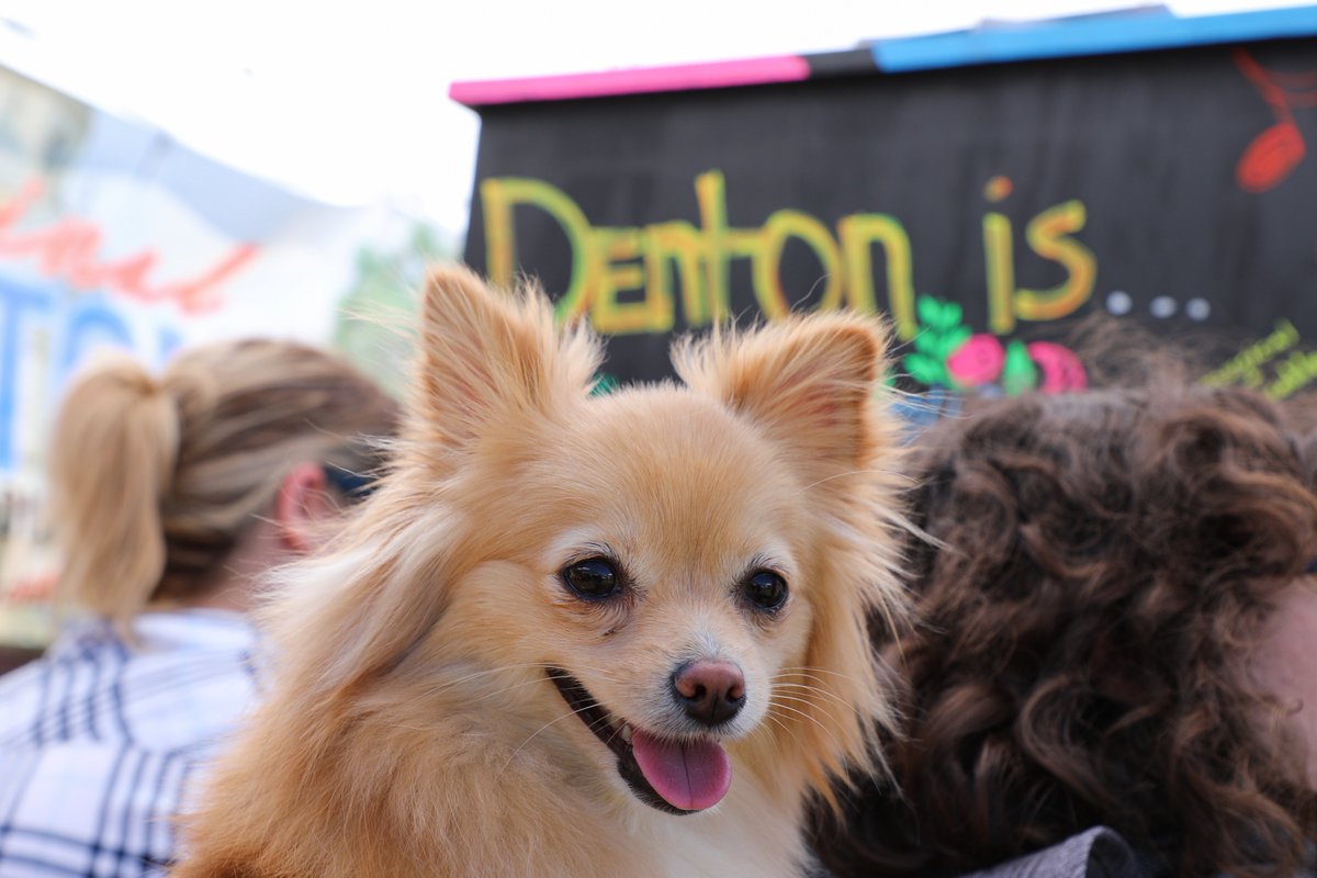 Original Denton District (@originaldenton) on Twitter photo Here are a few of our favorite moments from this weekend's <a href="/DentonMarket/">Denton Community Market</a>. ☀️ Thank you to everyone who helped create this community art piece!
See you at <a href="/dentonjazzfest/">Denton Jazz Festival</a>. 😎 Here are a few of our favorite moments from this weekend's <a href="/DentonMarket/">Denton Community Market</a>. ☀️ Thank you to everyone who helped create this community art piece!
See you at <a href="/dentonjazzfest/">Denton Jazz Festival</a>. 😎