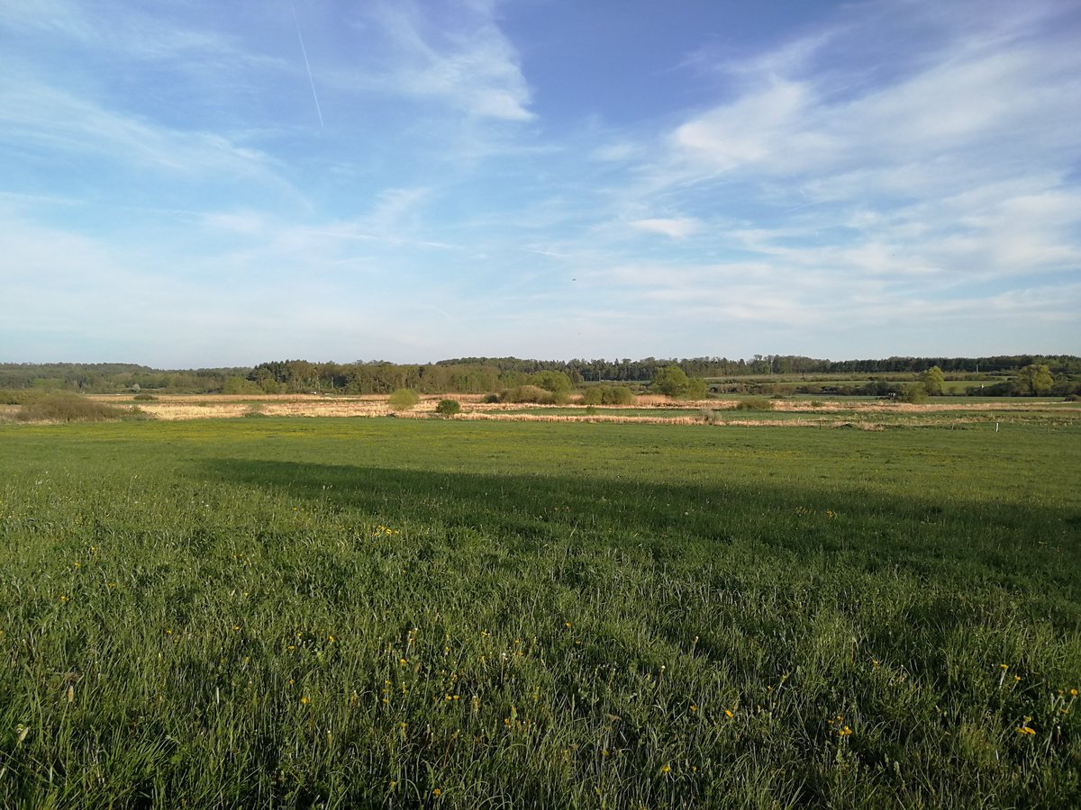 Projekt2stellig's tweet photo. Und zum guten Schluss habe ich heute eine neue persönliche Bestzeit geschafft:
🏃10km - 54:29min - Pace 5:27/km https://t.co/j4wxjnRBe6