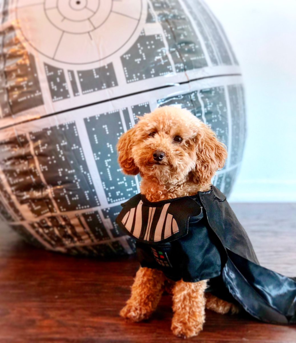 RealEvilCleo's tweet photo. It’s #EarthDay! Here’s me with my Death Star to remind you all how lucky you are to still have one! 🌍 ✨ https://t.co/nvcQ1j1thk