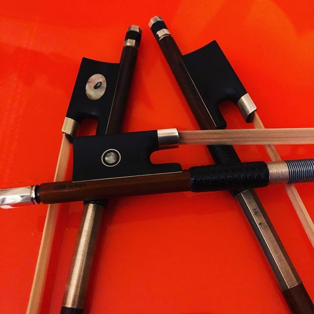 brosidenviolin's tweet photo. Trying possible candidates for a new bow. #violin https://t.co/lq8eyxrlQB https://t.co/BlfKSaiFtM