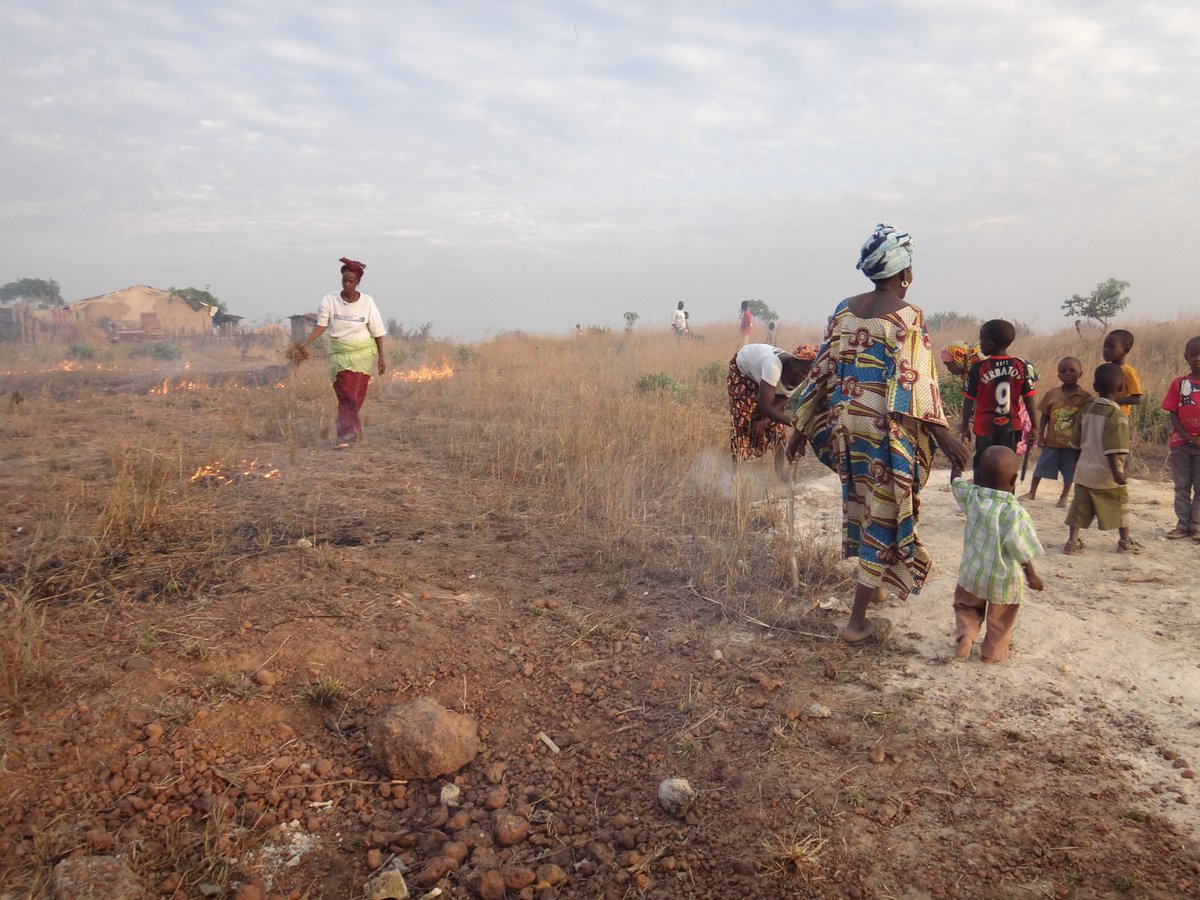 hapc_uk's tweet image. Looking for something to read this #BankHolidayMonday? Head on over to our website for the latest news coming out of our Colombiere School in #Gambia, including our Commonwealth Day celebrations last month: hapc.co.uk/commonwealth-d… #charity #giveback #education