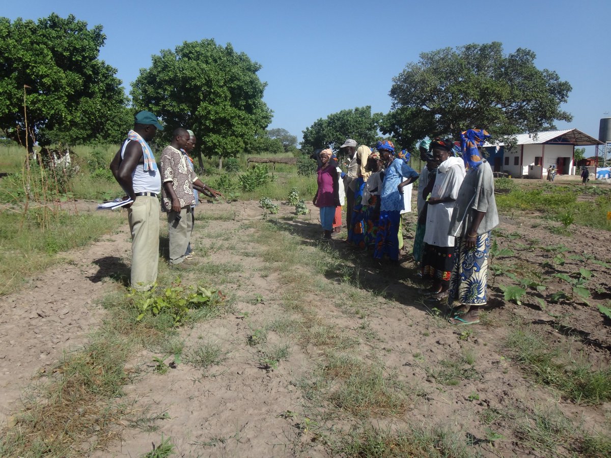 hapc_uk's tweet image. Looking for something to read this #BankHolidayMonday? Head on over to our website for the latest news coming out of our Colombiere School in #Gambia, including our Commonwealth Day celebrations last month: hapc.co.uk/commonwealth-d… #charity #giveback #education
