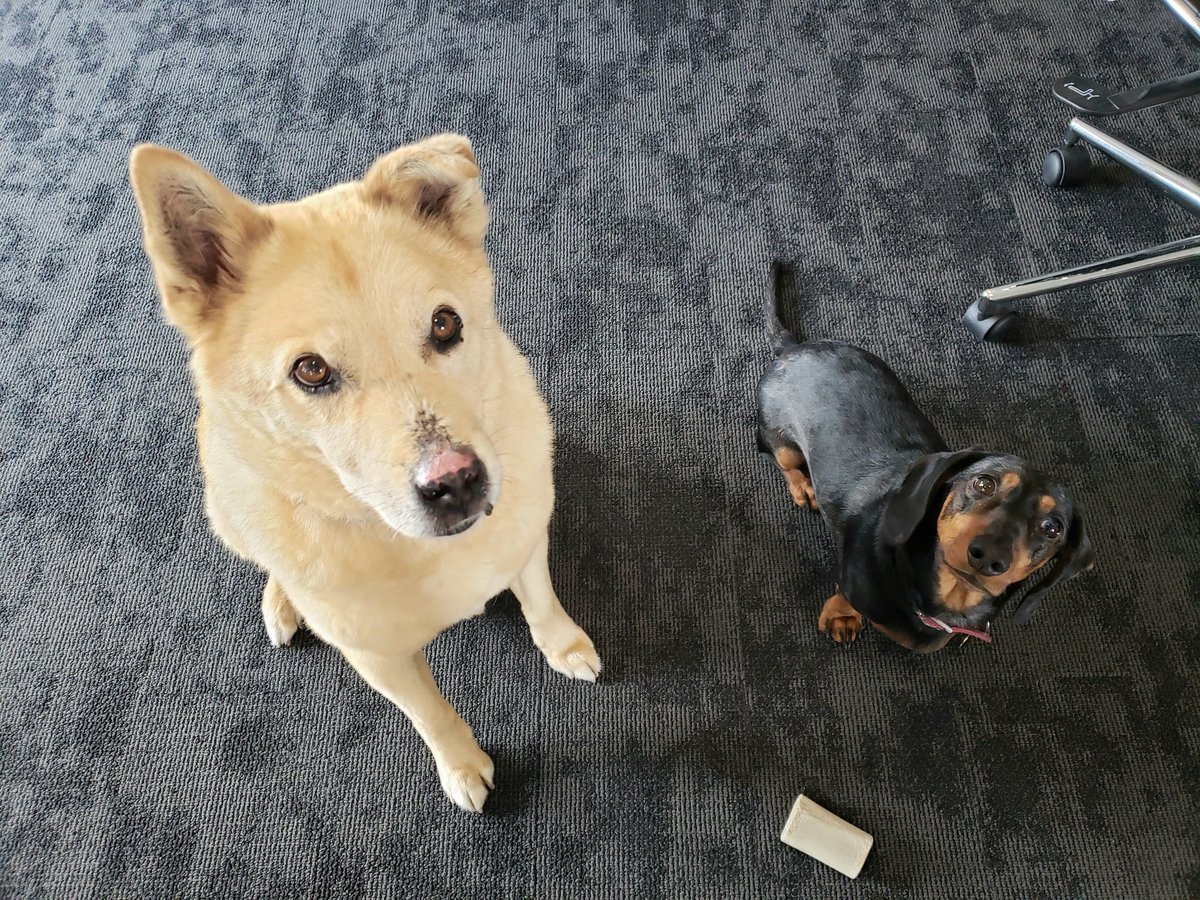 Beets and Benson. Best Buds in the #ArizonaCircle Production Office. <a href="/FunhausTeam/">Funhaus</a> <a href="/BensonWillems/">Benson</a>