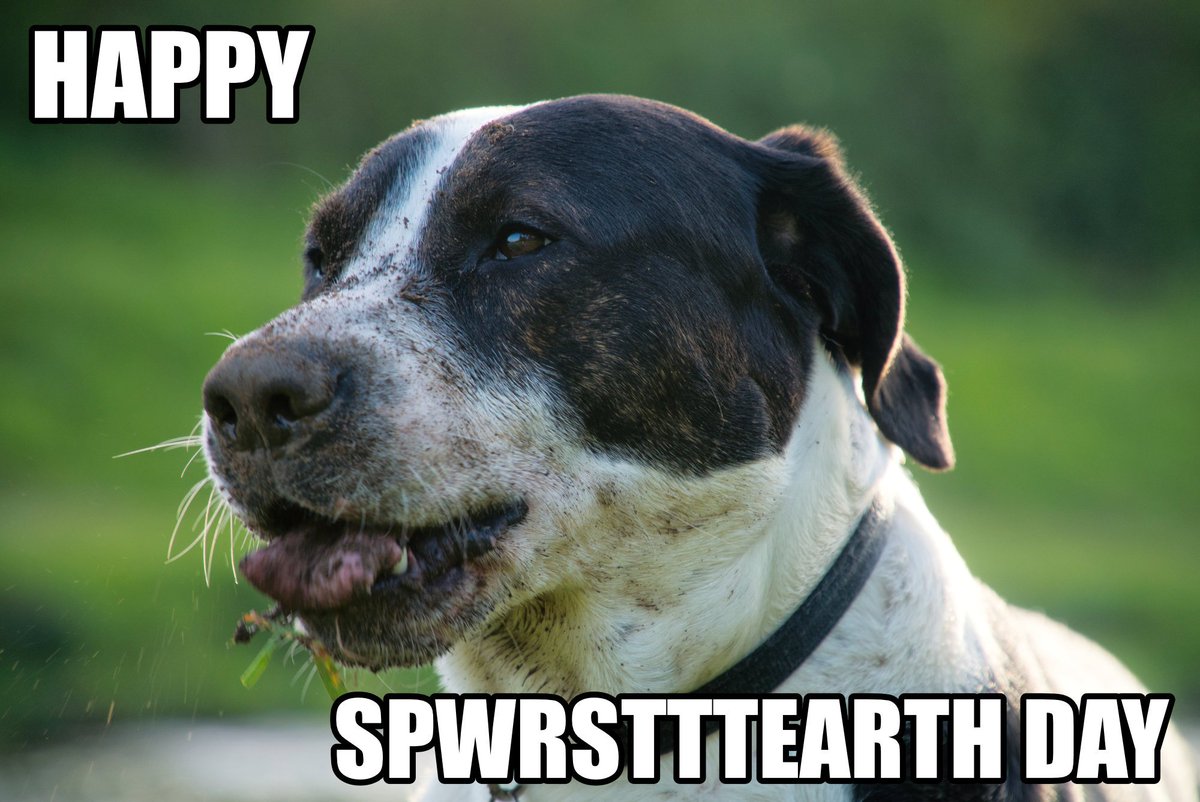 AMP_Tracks's tweet photo. Happy #EarhDay https://t.co/FF5pAl4M8B