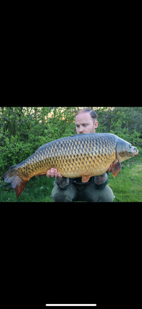 ***Instant Result PB***

There's no finer boost to the confidence than using a new bait for the first time and going and bagging yourself a chunk in the process!

Brandon with this common known as cut tail from his syndicate weighing 35lb 4oz. Well done
#NoHypeJustBait #CoreBaits