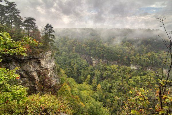 GAposts's tweet image. Cloudland Canyon, Georgia
