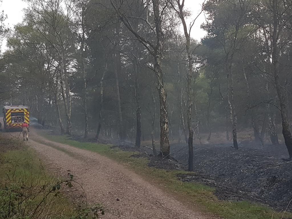 StaffsFire's tweet photo. 3 crews from #Rugeley, #Cannock & #Stafford at approx 1 acre of woodland alight on #Cannockchase.
Fire under control.
#flamesaren'tgames https://t.co/Le7Q59JoGI