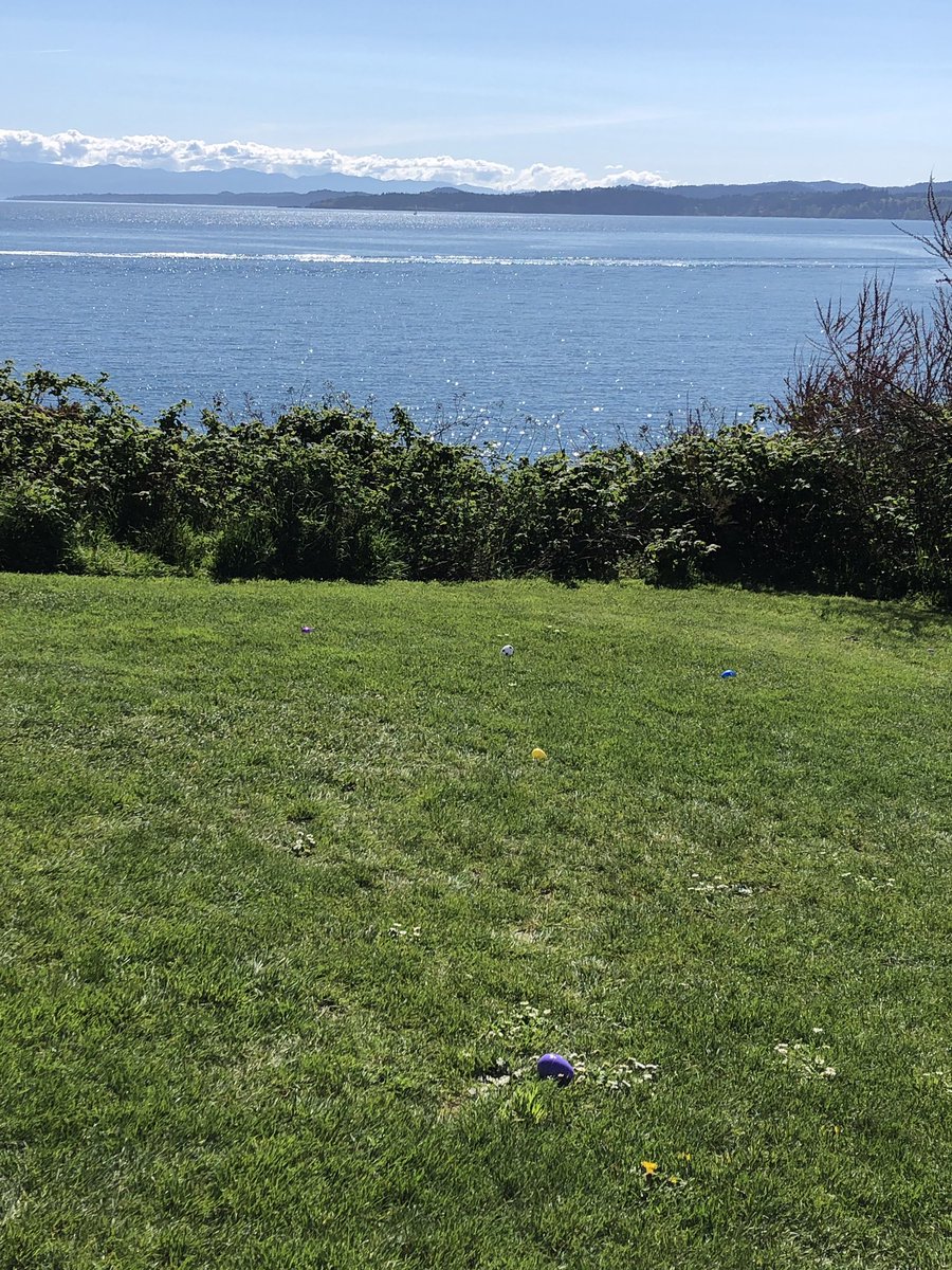 Easter egg hunt on the ocean. Kids in Victoria are so lucky!! #EasterMonday