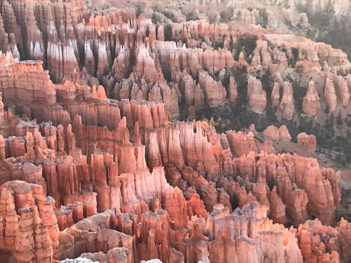 Christopher Weiss tweet media