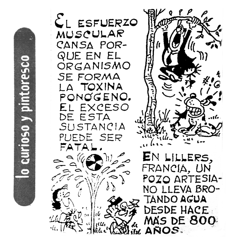 Lo Curioso y Pintoresco tweet media