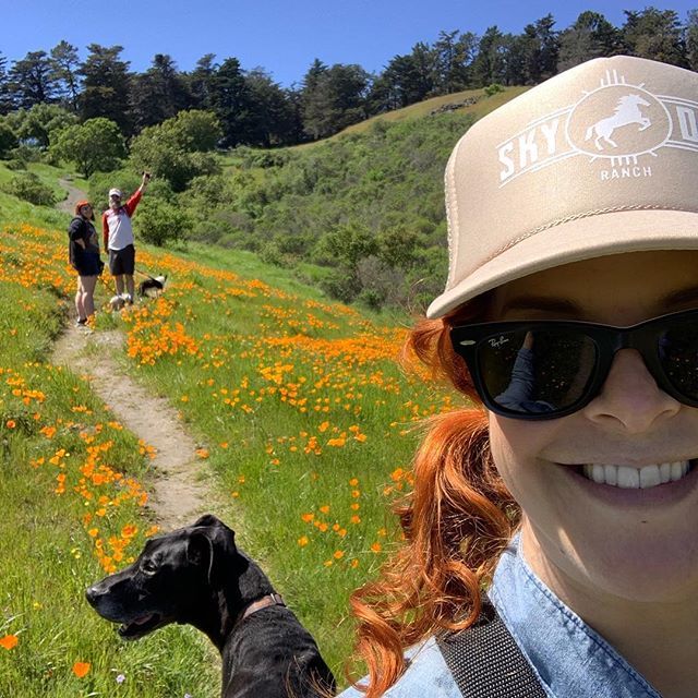 FindGoldAndRust's tweet photo. Happy #earthday everyone! Shop's closed today, but hope you get out and enjoy some ☀️! I promise we stayed in the trail &amp; no poppies were harmed. I'm wearing a hat from one of my favorite non profits, @skydogsanctuary. If you don't know them, check them … https://t.co/BzZ3PLJu9P https://t.co/qLdHU7icf4