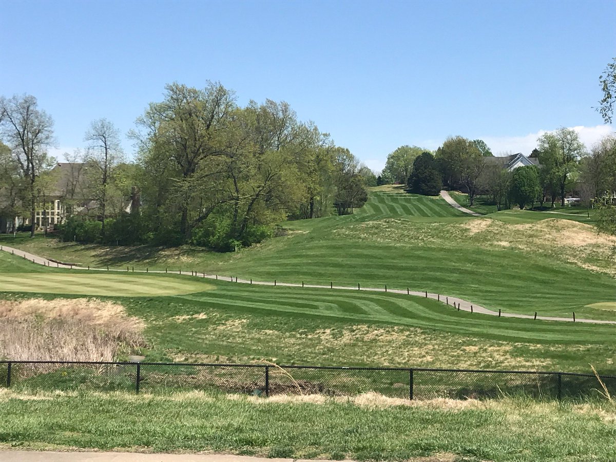 WhitmoorCCGrounds tweet media