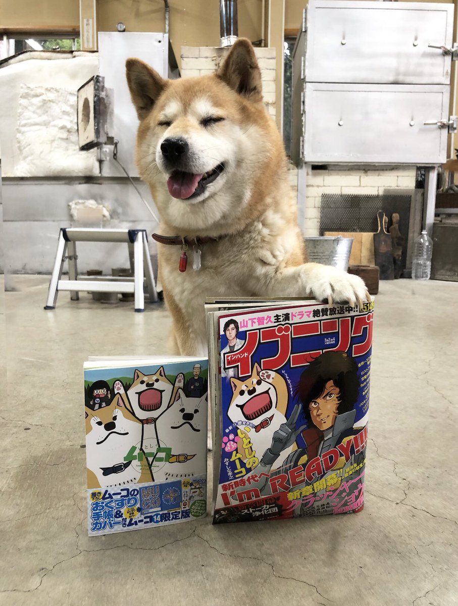 Muco Vetro の画像 動画一覧 Whotwi グラフィカルtwitter分析 Muco Vetro の画像 動画一覧 Whotwi グラフィカルtwitter分析