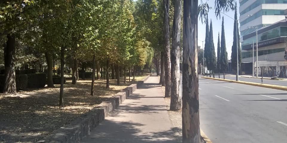 emx2030's tweet photo. Nuestras más sinceras felicitaciones a @TolucaGob por haber liberado al Parque Urawa del enrejado que tenía. Más y mejores espacios públicos que verdaderamente son para todos contribuyen a la prevención y al mejor disfrute de nuestra ciudad. https://t.co/aqepxilRnk