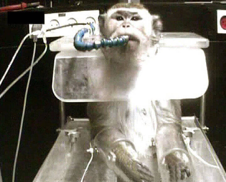 JVM's tweet photo. NO on AB 700 - #LabGag Bill by @California Assemblywoman @laurafriedman43 Keep Transparency! What are animal experimenters hiding? @LorenaSGonzalez @FrankBigelowCA @RobBontaCA @IanAD57 @VFong @JayObernolte @AsmCottie @RobertRivas_CA
@WendyCarrillo @TylerDiep https://t.co/k8bqLmp1Hw