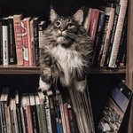 Photo by readfeed (@readfeed)