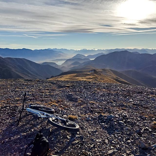 Haka Tours tweet media