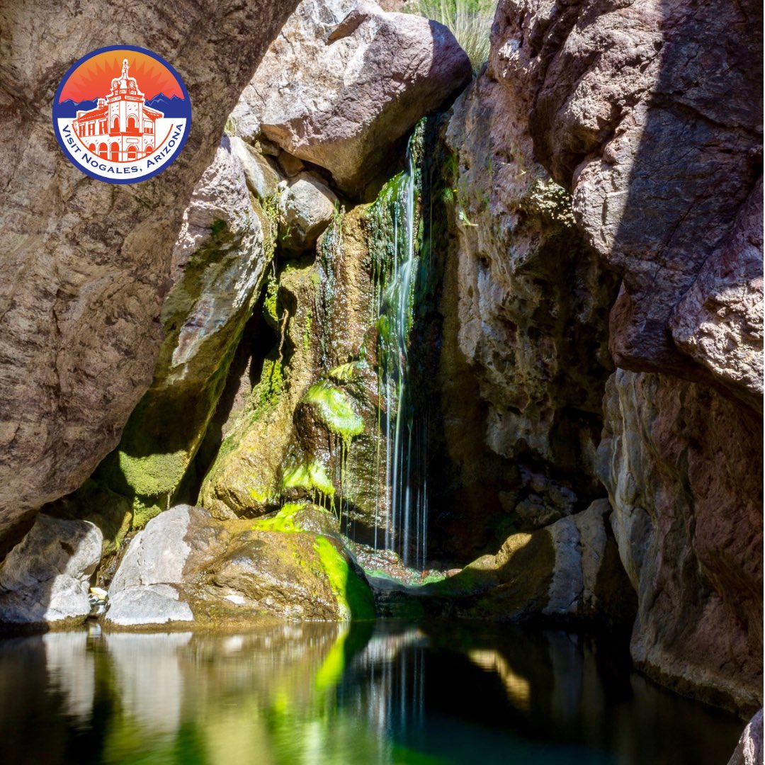 visitnogalesaz's tweet photo. As we celebrate #EarthDay, weโre exploring all the incredible places that are found in Nogales-Santa Cruz County and expressing our extra appreciation for the true beauty of nature that we have right here in our backyard. ๐ฆ๐ณ#LetsSeeAZ #AZAwesome #VisitNogalesAZ #VisitArizona https://t.co/nUGGR7vCAO