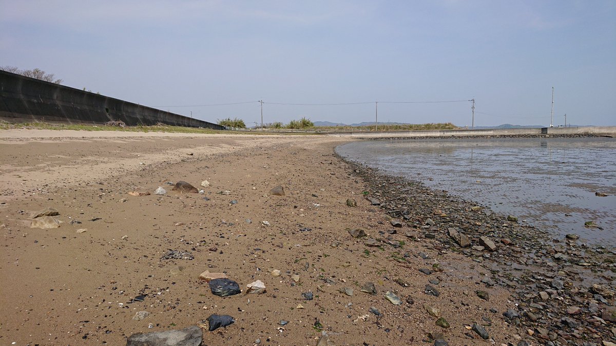 au3012's tweet photo. 木の化石　下関の海岸で採取致しました。
ミニ盆栽（盆石）など色々工夫しています。水槽にも良く海藻の付いた物もあります。
尚、販売も考えています。 https://t.co/dOeBYTyo4N