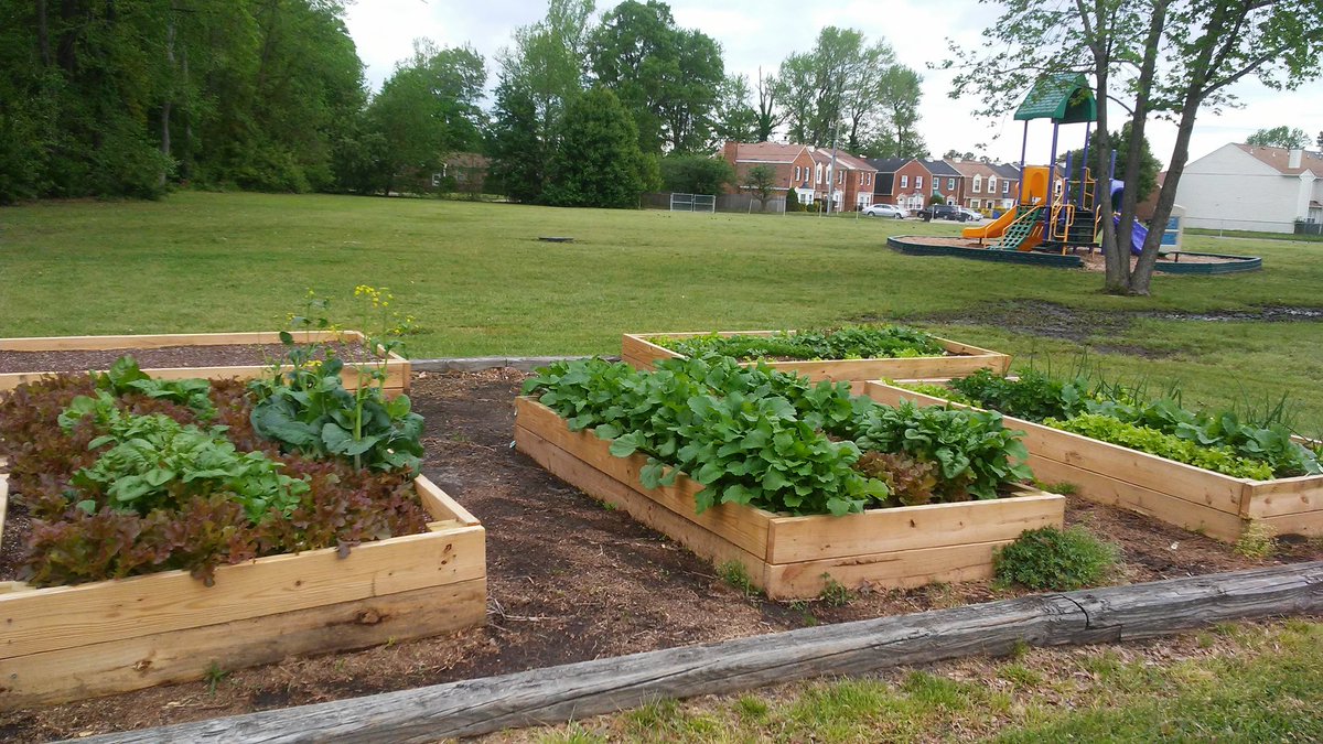 My garden club kids are so excited to see what they've planted from seed come to life!  <a href="/HlthyPortsmouth/">Healthy Portsmouth</a>
