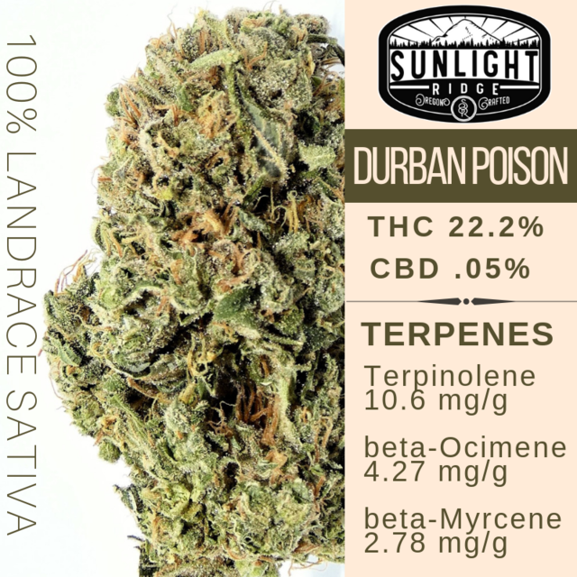 sunlight_ridge's tweet photo. Swipe to see what Sunlight Ridge products just arrived at Mindrite Dispensary!
#sunlightridge #terpenes
#oregongrowers #maryjane #portlandweed #madeinoregon #oregonbud #420 #thc #cannabis #medicalmarijuana #medicalcannabis #weedstagram #weedstagram420 #instahigh https://t.co/L2HAXdlvEg