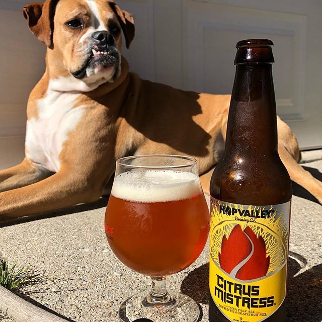 TheBaconSmith1's tweet photo. Citrus Mistress 6.5%ABV from @hopvalleybrewing brewed with grapefruit peel. Ever so slight pithy-ness and very drinkable. -
-
-
-
#cheers #happymonday #grapefruit #hops #citrus #mistress #eugeneoregon #goodbeer #beersies #boxer #dog #beer #Ale #ipa #… https://t.co/pu3rWaFhaa https://t.co/T6DMpZD5yg