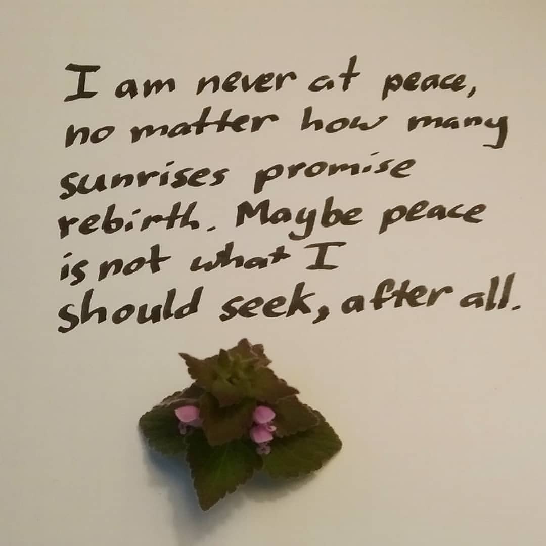 ahaadabro's tweet photo. Let me seek to give peace instead of trying to hold it within myself. 🍂

#poem #poetry #amwriting #spilledink #spilledwriting #handwrittenpoem #handwrittenpoetry #handwritten #purple #green #nature #wildflowers #peace #sunrise #morning #rebirth https://t.co/Vs4Wf250Tc