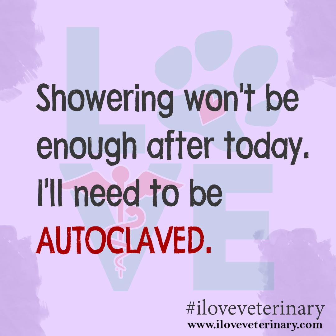 lovevetmed's tweet image. Happy Monday :D

#Monday #veterinarymedicine #veterinaryhumor #vetmed #iloveveterinary #lovevetmed