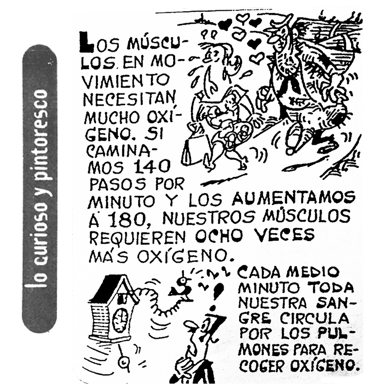 Lo Curioso y Pintoresco tweet media